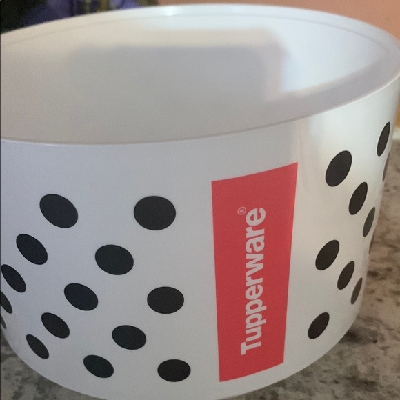 Tupperware Polka Dot and Striped Containers - Picture 6 of 8